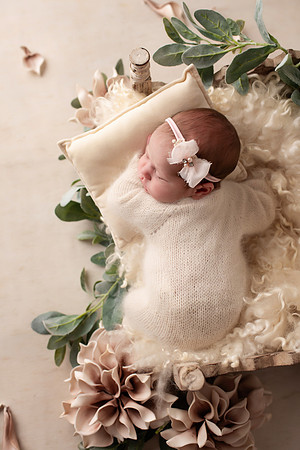 EVERLEIGH_7DAYS-10