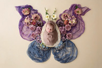 WILLOW_17