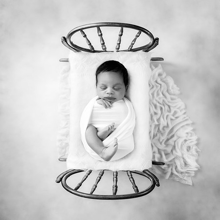 CZAR_11DAYS-22