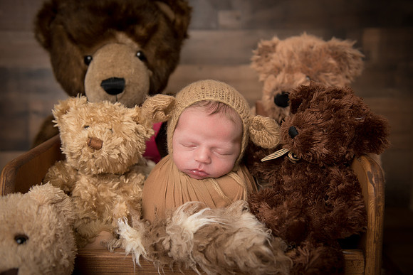 TEDDY23