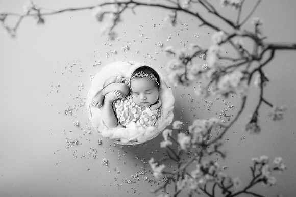 LOLA_15DAYS-24