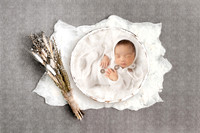 ANDERSON_10DAYS-20