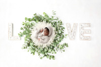 MALCOM_12DAYS-12