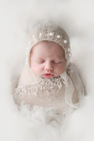 WILLOW_3
