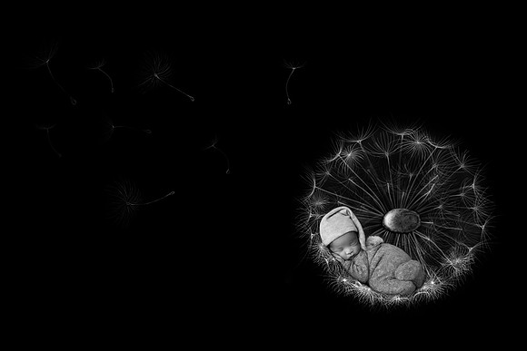 ANDERSON_10DAYS-32