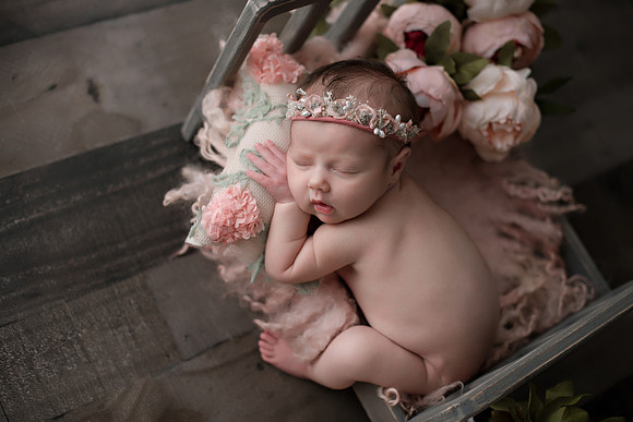 WILLOW_66