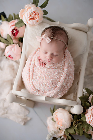 WILLOW_29