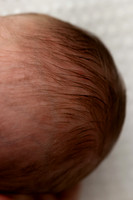 EZRA_14DAYS-8