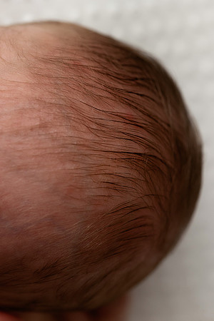 EZRA_14DAYS-8