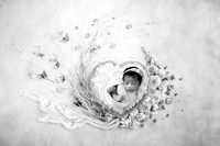 PILAR_11DAYS-20