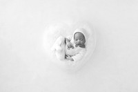 WOLFE_20DAYS-16