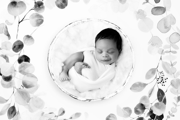 CZAR_11DAYS-11