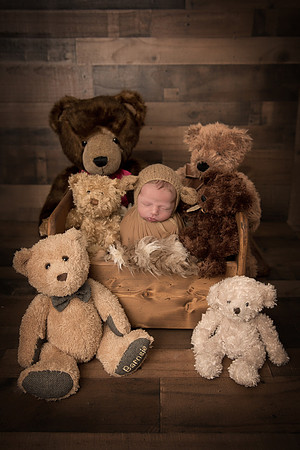 TEDDY21