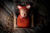 ZIGGY_9DAYS_16
