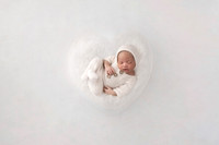 WOLFE_20DAYS-15