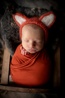 ZIGGY_9DAYS_18
