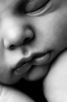 RYKER_15DAYS-9