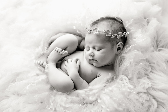 WILLOW_59bw