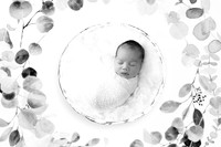 CANNON_7DAYS-14