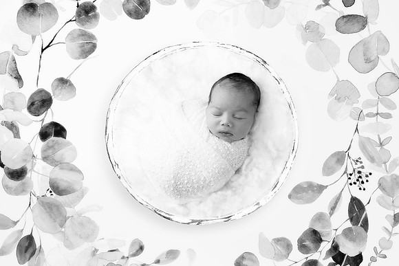 CANNON_7DAYS-14