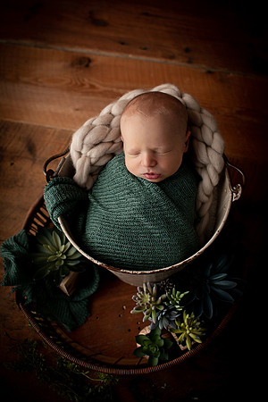 ZIGGY_9DAYS_75