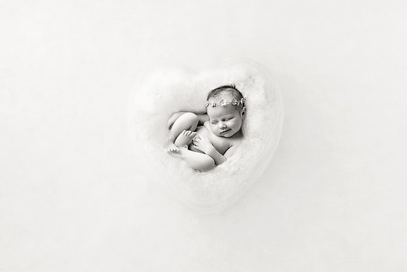 WILLOW_60-2bw