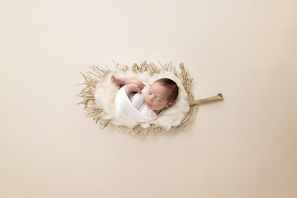 ISAAC_10DAYS-22