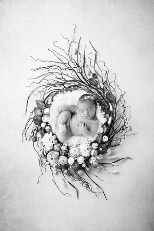 ROSALIE_14DAYS-15