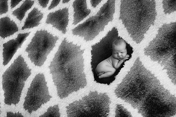 EZRA_13DAYS-70