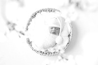 CANNON_7DAYS-2