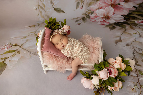 LOLA_15DAYS-16