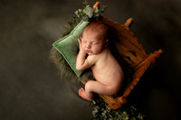 RYKER_15DAYS-15