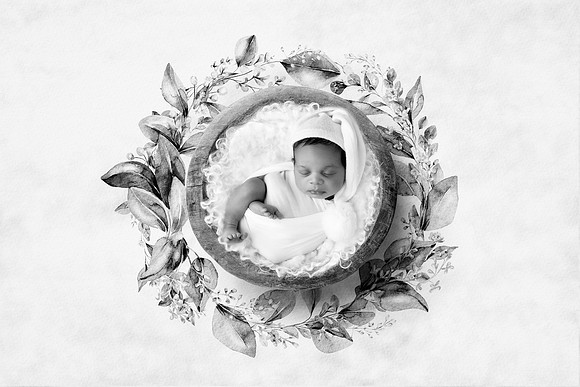 CZAR_11DAYS-47