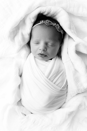 PARKER_10DAYS-31bw