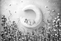 JULLIAN_11DAYS-2