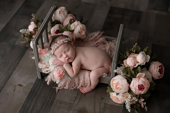 WILLOW_67