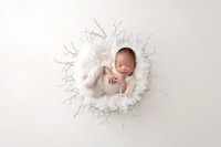 WOLFE_20DAYS-20