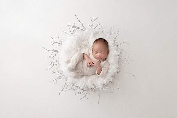 WOLFE_20DAYS-20