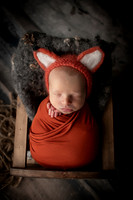 ZIGGY_9DAYS_17