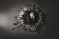 ZIGGY_9DAYS_2