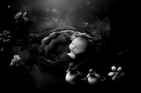 RYKER_15DAYS-8