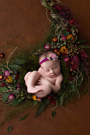 WILLOW_57-2-3