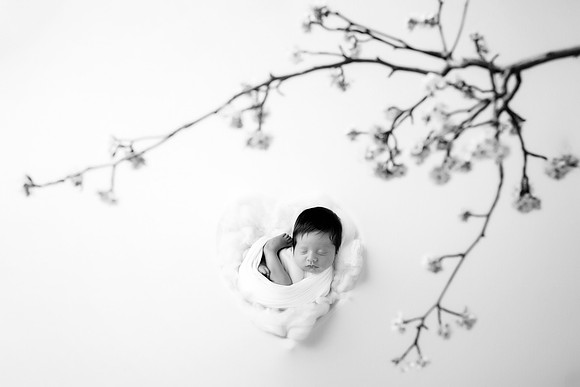 OLIVER_16DAYS-44