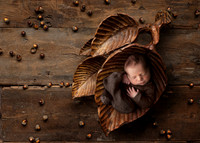 WATSON_5DAYS_3
