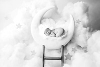 NOAH_14DAYS-2