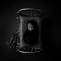 MALCOM_12DAYS-11