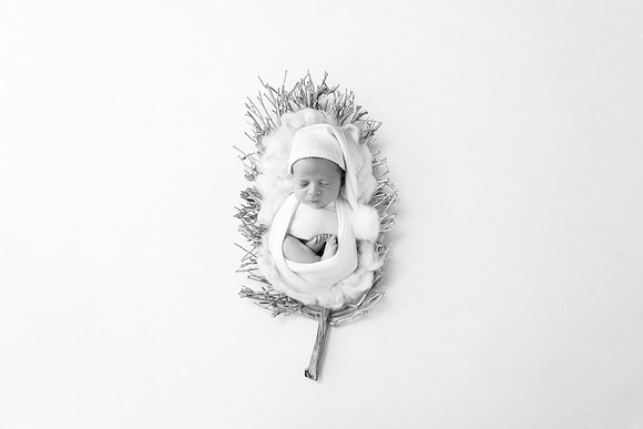 JAXON_15DAYS-2
