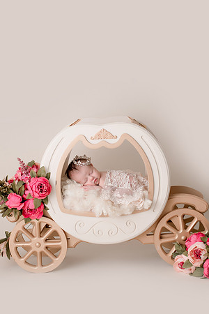 WILLOW_56
