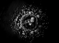 WOLFE_20DAYS-11