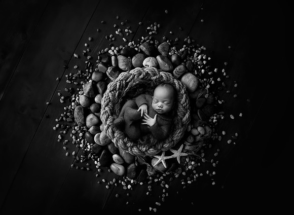 WOLFE_20DAYS-11